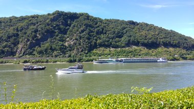 Der Rhein bei Kamp-Bornhofen